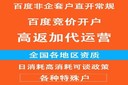 百度竞价代理的客户案例：如何实现ROI最大化